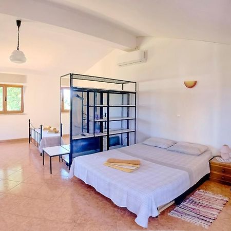 Studio Apartment Gianni Vižinada Extérieur photo