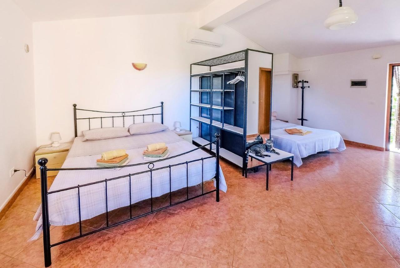 Studio Apartment Gianni Vižinada Extérieur photo